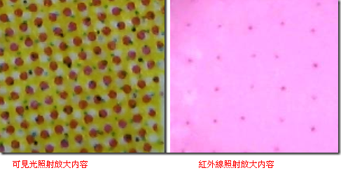 印刷有点读码的绘本是怎么制作的1.png